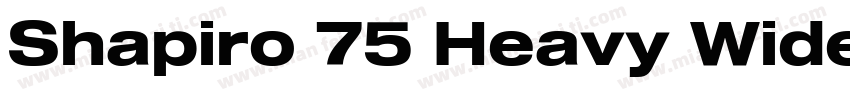 Shapiro 75 Heavy Wide字体转换